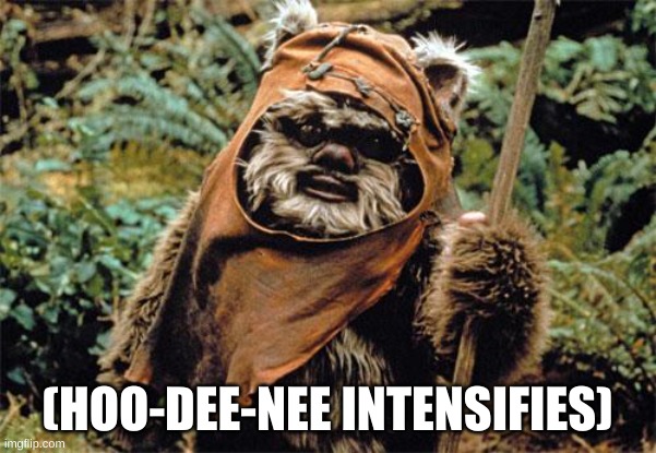 Ewok | (HOO-DEE-NEE INTENSIFIES) | image tagged in ewok | made w/ Imgflip meme maker