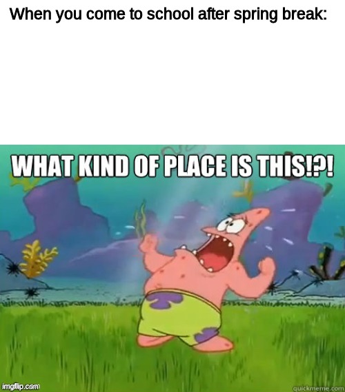 haha funni | When you come to school after spring break: | image tagged in what kind of place is this | made w/ Imgflip meme maker