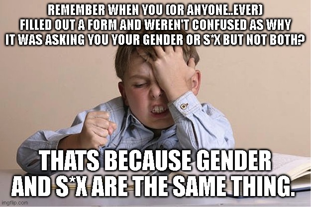 'fat is what I am...but Obese is what I identify as...' | REMEMBER WHEN YOU (OR ANYONE..EVER) FILLED OUT A FORM AND WEREN'T CONFUSED AS WHY IT WAS ASKING YOU YOUR GENDER OR S*X BUT NOT BOTH? THATS BECAUSE GENDER AND S*X ARE THE SAME THING. | image tagged in paperwork kid | made w/ Imgflip meme maker