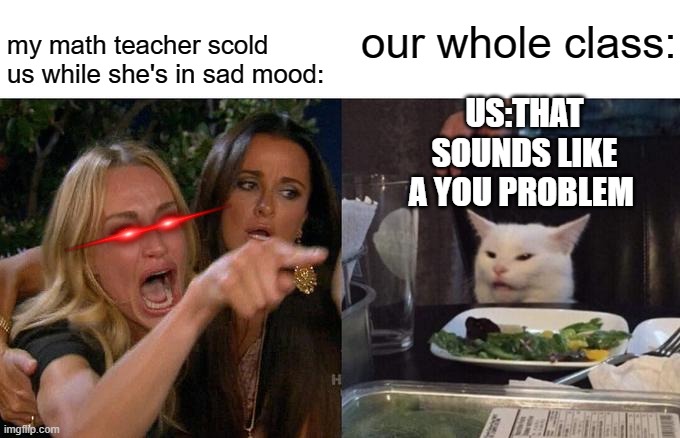 Woman Yelling At Cat Meme | my math teacher scold us while she's in sad mood:; our whole class:; US:THAT SOUNDS LIKE A YOU PROBLEM | image tagged in memes,woman yelling at cat | made w/ Imgflip meme maker