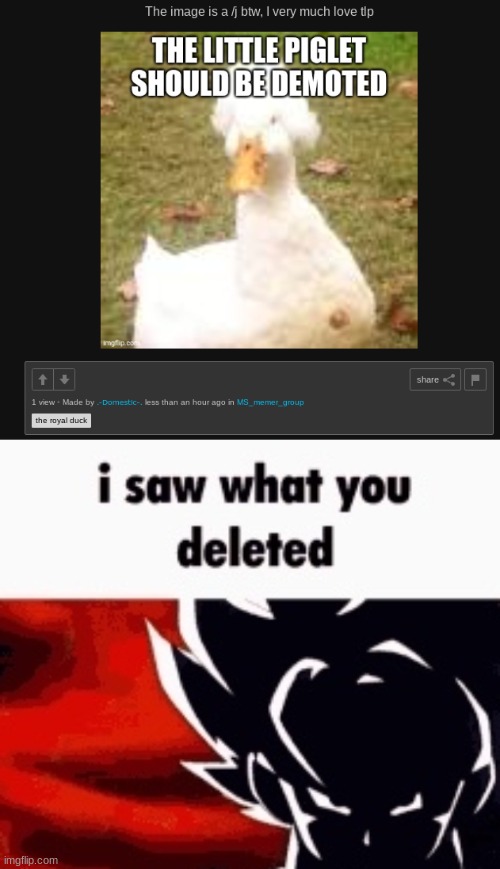 i like watching naked oiled black men jiggling their asses | image tagged in i saw what you deleted | made w/ Imgflip meme maker