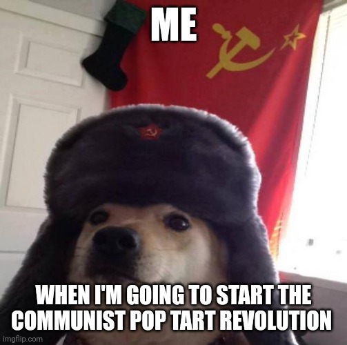 In America you eat pop tarts, in communist pop tart revolution you still eat pop tarts | ME; WHEN I'M GOING TO START THE COMMUNIST POP TART REVOLUTION | image tagged in russian doge | made w/ Imgflip meme maker