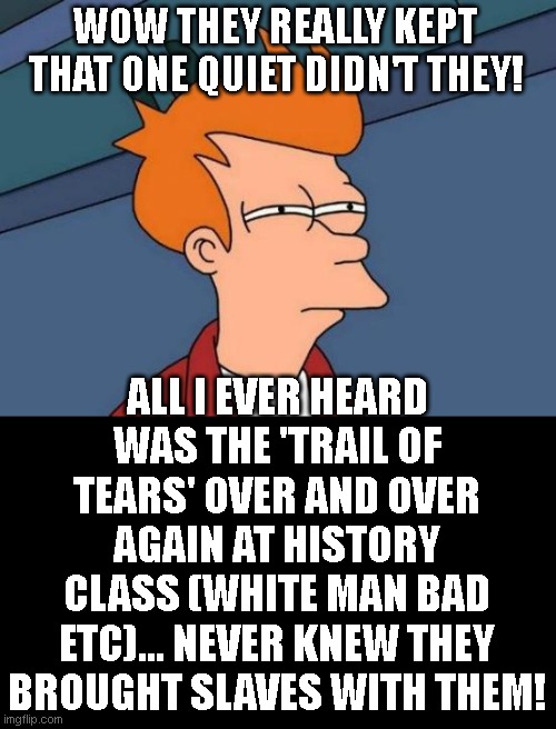 Futurama Fry Meme | WOW THEY REALLY KEPT THAT ONE QUIET DIDN'T THEY! ALL I EVER HEARD WAS THE 'TRAIL OF TEARS' OVER AND OVER AGAIN AT HISTORY CLASS (WHITE MAN B | image tagged in memes,futurama fry | made w/ Imgflip meme maker