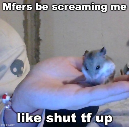 Hampter | Mfers be screaming me; like shut tf up | image tagged in hampter | made w/ Imgflip meme maker