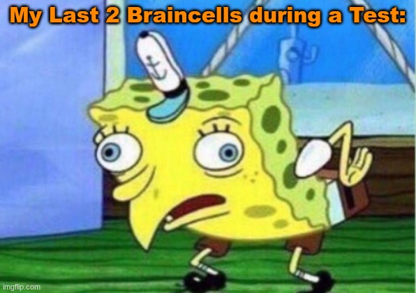 Mocking Spongebob | My Last 2 Braincells during a Test: | image tagged in memes,mocking spongebob,test,funny,relatable memes,brain cells | made w/ Imgflip meme maker