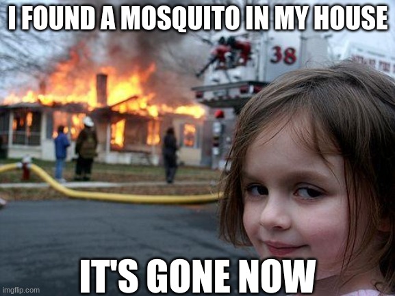 Disaster Girl Meme | I FOUND A MOSQUITO IN MY HOUSE; IT'S GONE NOW | image tagged in memes,disaster girl,mosquito,funny,mosquitoes,fun | made w/ Imgflip meme maker