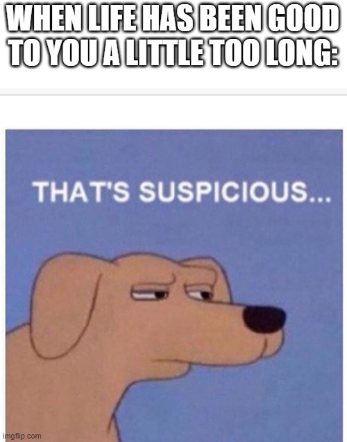 Suspicious | WHEN LIFE HAS BEEN GOOD TO YOU A LITTLE TOO LONG: | image tagged in that's suspicious | made w/ Imgflip meme maker