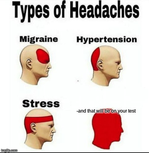 Types of Headaches meme | -and that will be on your test | image tagged in types of headaches meme | made w/ Imgflip meme maker