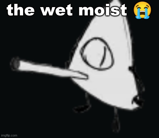 smork | the wet moist 😭 | image tagged in smork | made w/ Imgflip meme maker