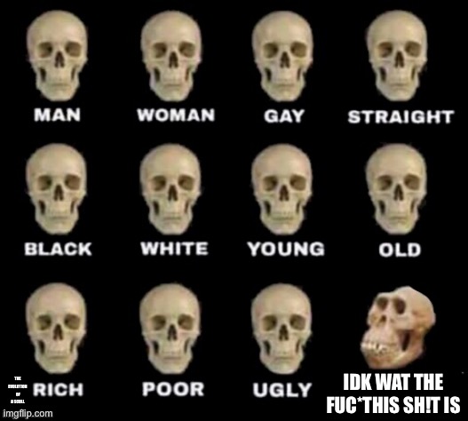 Tru | THE EVOLUTION  OF A SCULL; IDK WAT THE FUC*THIS SH!T IS | image tagged in idiot skull | made w/ Imgflip meme maker