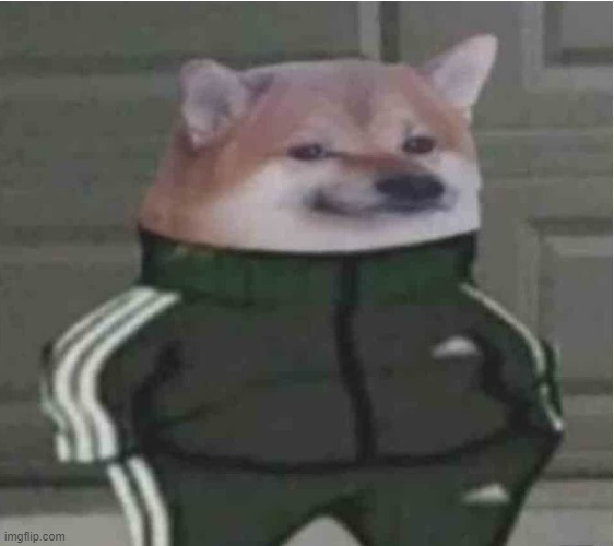 addidas dawg | image tagged in addidas dawg | made w/ Imgflip meme maker