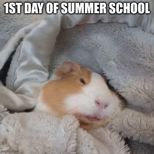 Me when I wake up | 1ST DAY OF SUMMER SCHOOL | image tagged in me when i wake up | made w/ Imgflip meme maker