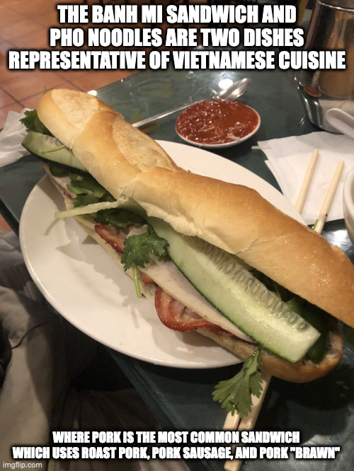 Banh Mi | THE BANH MI SANDWICH AND PHO NOODLES ARE TWO DISHES REPRESENTATIVE OF VIETNAMESE CUISINE; WHERE PORK IS THE MOST COMMON SANDWICH WHICH USES ROAST PORK, PORK SAUSAGE, AND PORK "BRAWN" | image tagged in sandwich,food,memes | made w/ Imgflip meme maker