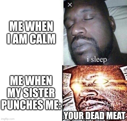 don't touch me | ME WHEN I AM CALM; ME WHEN MY SISTER PUNCHES ME:; YOUR DEAD MEAT | image tagged in i sleep real shit | made w/ Imgflip meme maker