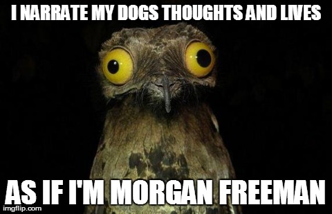 Weird Stuff I Do Potoo | I NARRATE MY DOGS THOUGHTS AND LIVES AS IF I'M MORGAN FREEMAN | image tagged in memes,weird stuff i do potoo,AdviceAnimals | made w/ Imgflip meme maker