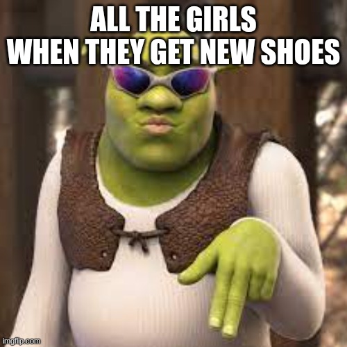 material girl | ALL THE GIRLS WHEN THEY GET NEW SHOES | image tagged in boys vs girls | made w/ Imgflip meme maker