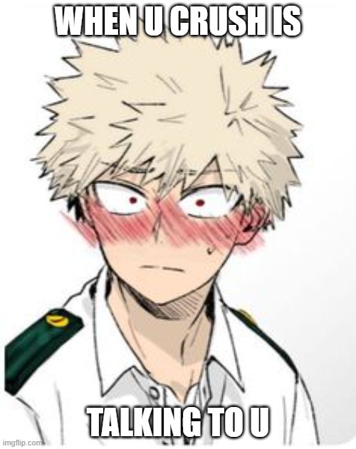 Bakugo blushing | WHEN U CRUSH IS; TALKING TO U | image tagged in bakugo blushing | made w/ Imgflip meme maker