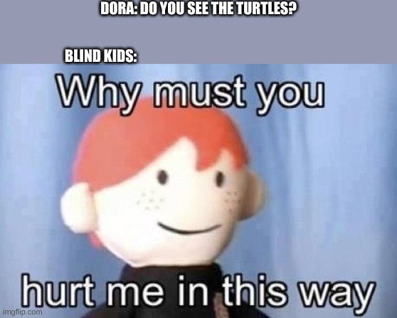 DO YOU SEE THE TURTLES | DORA: DO YOU SEE THE TURTLES? BLIND KIDS: | image tagged in why must you hurt me this way | made w/ Imgflip meme maker