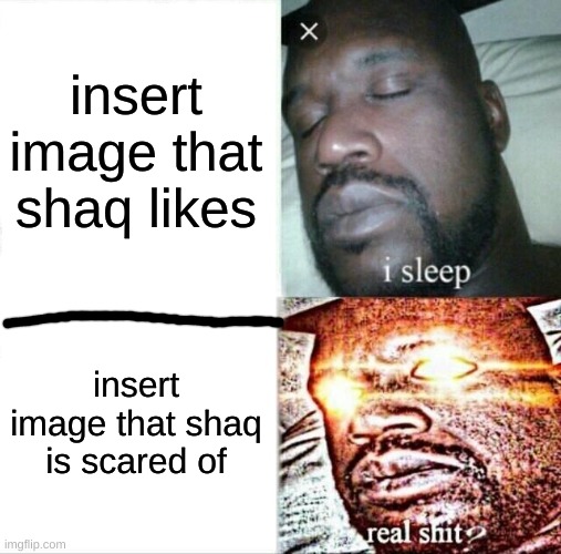 Sleeping Shaq | insert image that shaq likes; insert image that shaq is scared of | image tagged in memes,sleeping shaq | made w/ Imgflip meme maker