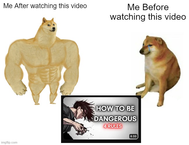 Transformation | Me After watching this video; Me Before watching this video | image tagged in memes,buff doge vs cheems | made w/ Imgflip meme maker