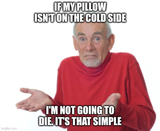 Guess I'll die  | IF MY PILLOW ISN'T ON THE COLD SIDE I'M NOT GOING TO DIE. IT'S THAT SIMPLE | image tagged in guess i'll die | made w/ Imgflip meme maker