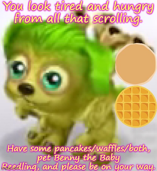 Sorry for Benny's dogsh*t quality. | You look tired and hungry from all that scrolling. Have some pancakes/waffles/both, pet Benny the Baby Reedling, and please be on your way. | image tagged in benny the baby reedling | made w/ Imgflip meme maker