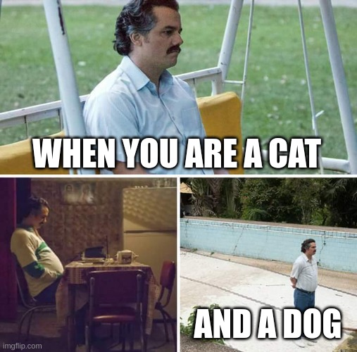Ai is a furry | WHEN YOU ARE A CAT; AND A DOG | image tagged in memes,sad pablo escobar | made w/ Imgflip meme maker