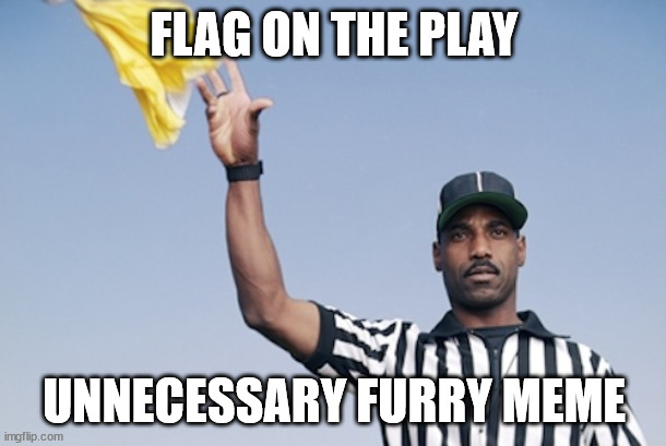 Flag on the play | FLAG ON THE PLAY UNNECESSARY FURRY MEME | image tagged in flag on the play | made w/ Imgflip meme maker