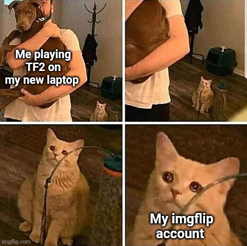 Idk hi | Me playing TF2 on my new laptop; My imgflip account | image tagged in it hurts in my meow | made w/ Imgflip meme maker