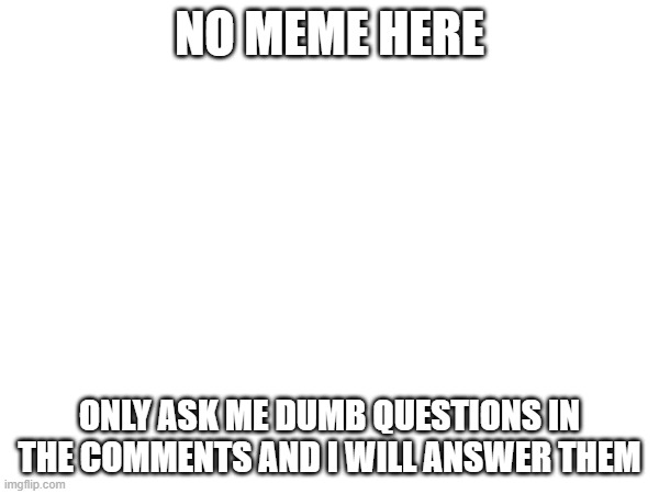 dumb questions only |  NO MEME HERE; ONLY ASK ME DUMB QUESTIONS IN THE COMMENTS AND I WILL ANSWER THEM | image tagged in dumb,questions,oh wow are you actually reading these tags | made w/ Imgflip meme maker