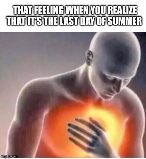 PAIN | THAT FEELING WHEN YOU REALIZE THAT IT'S THE LAST DAY OF SUMMER | image tagged in chest pain | made w/ Imgflip meme maker