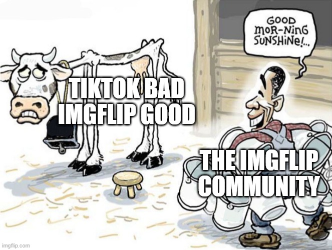 milking the cow |  TIKTOK BAD IMGFLIP GOOD; THE IMGFLIP COMMUNITY | image tagged in milking the cow | made w/ Imgflip meme maker