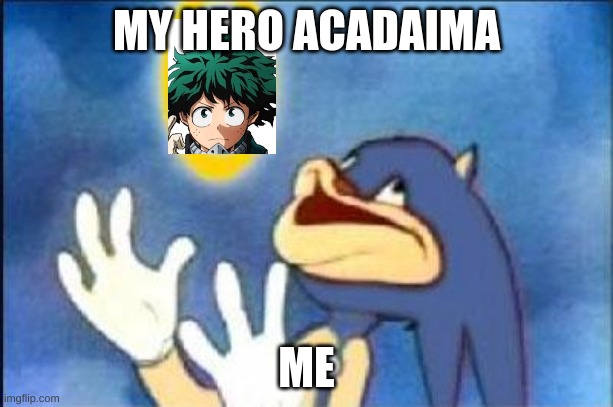 DERP | MY HERO ACADAIMA; ME | image tagged in sonic derp | made w/ Imgflip meme maker