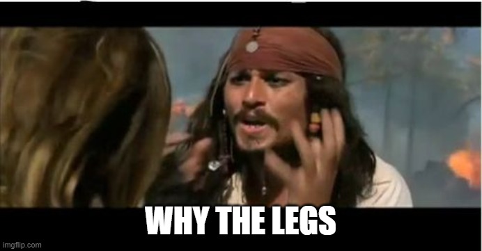 Why Is The Rum Gone Meme | WHY THE LEGS | image tagged in memes,why is the rum gone | made w/ Imgflip meme maker