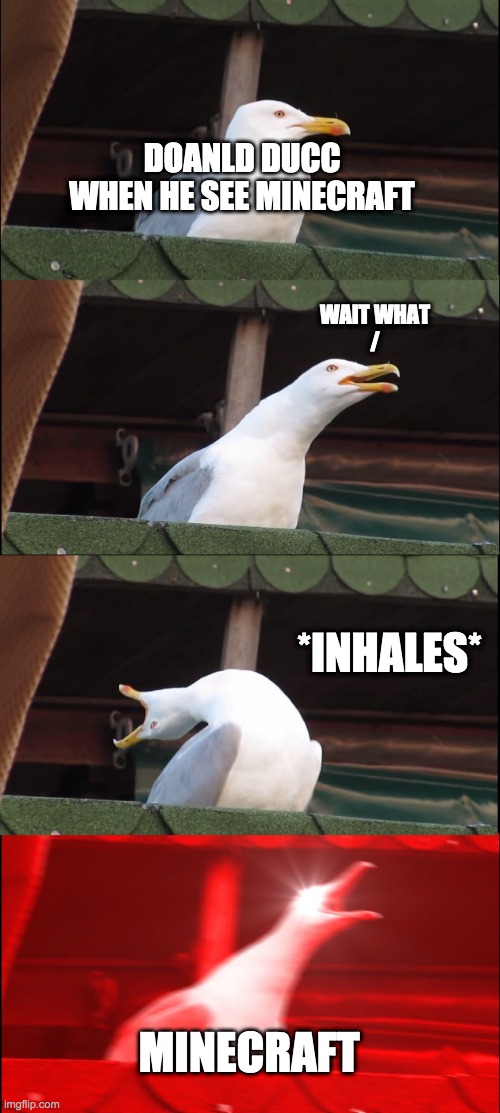 Inhaling Seagull | DOANLD DUCC WHEN HE SEE MINECRAFT; WAIT WHAT
/; *INHALES*; MINECRAFT | image tagged in memes,inhaling seagull | made w/ Imgflip meme maker
