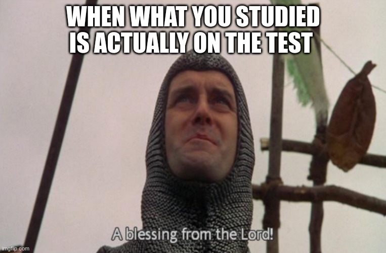 no good title | WHEN WHAT YOU STUDIED IS ACTUALLY ON THE TEST | image tagged in a blessing from the lord | made w/ Imgflip meme maker