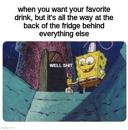 take your time, move some stuff | when you want your favorite
drink, but it's all the way at the
back of the fridge behind
everything else | image tagged in well shit spongebob edition,memes | made w/ Imgflip meme maker