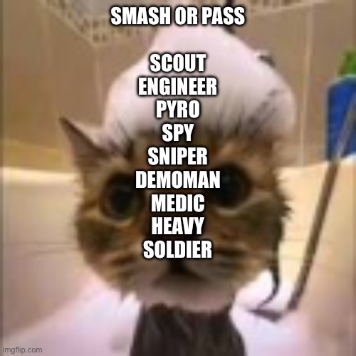 His dumbass is NOT taking a shower!!! | SMASH OR PASS
 
SCOUT
ENGINEER
PYRO
SPY
SNIPER
DEMOMAN
MEDIC
HEAVY
SOLDIER | image tagged in his dumbass is not taking a shower | made w/ Imgflip meme maker