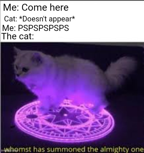 The cat | Me: Come here; Cat: *Doesn't appear*; Me: PSPSPSPSPS; The cat: | image tagged in whomst has summoned the almighty one | made w/ Imgflip meme maker