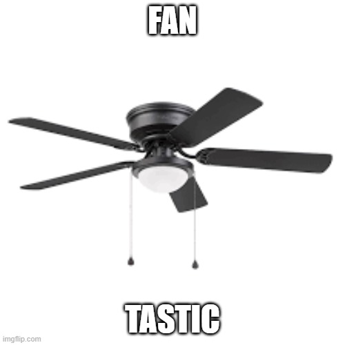 Fan-tastic | FAN; TASTIC | image tagged in memes,funny memes,funny,fan,puns,bad puns | made w/ Imgflip meme maker