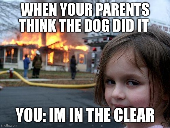 Slay | WHEN YOUR PARENTS THINK THE DOG DID IT; YOU: IM IN THE CLEAR | image tagged in memes,disaster girl | made w/ Imgflip meme maker