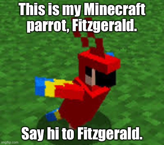 I also have a Sheep named Abednego, an Ocelot named Reynold, and a Cow named Haggai. | This is my Minecraft parrot, Fitzgerald. Say hi to Fitzgerald. | image tagged in fitzgerald | made w/ Imgflip meme maker