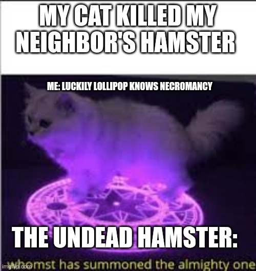 Lollipop the cat knows necromancy | MY CAT KILLED MY NEIGHBOR'S HAMSTER; ME: LUCKILY LOLLIPOP KNOWS NECROMANCY; THE UNDEAD HAMSTER: | image tagged in whomst has summoned the almighty one | made w/ Imgflip meme maker