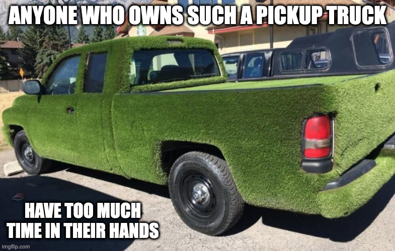 Grass-COvered Pickup Truck | ANYONE WHO OWNS SUCH A PICKUP TRUCK; HAVE TOO MUCH TIME IN THEIR HANDS | image tagged in cars,memes | made w/ Imgflip meme maker