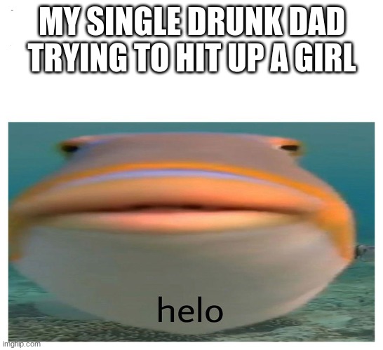 helo fish | MY SINGLE DRUNK DAD TRYING TO HIT UP A GIRL | image tagged in helo fish | made w/ Imgflip meme maker