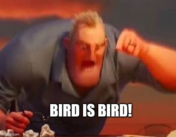 Mr incredible mad | BIRD IS BIRD! | image tagged in mr incredible mad | made w/ Imgflip meme maker