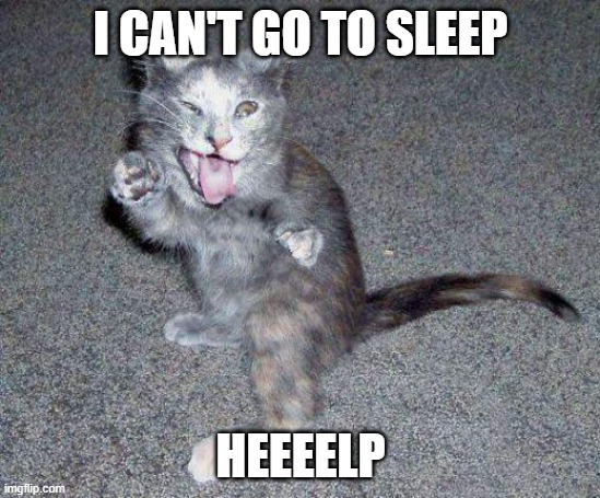 ADHD Cat | I CAN'T GO TO SLEEP; HEEEELP | image tagged in adhd cat | made w/ Imgflip meme maker