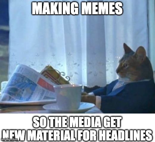 Nurtering the news | MAKING MEMES; SO THE MEDIA GET NEW MATERIAL FOR HEADLINES | image tagged in memes,i should buy a boat cat,media | made w/ Imgflip meme maker