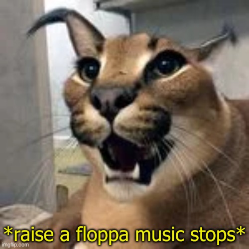 image tagged in raise a floppa music stops | made w/ Imgflip meme maker