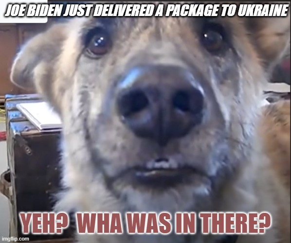Talking dog is curious | JOE BIDEN JUST DELIVERED A PACKAGE TO UKRAINE; YEH?  WHA WAS IN THERE? | image tagged in talking dog,sheeple,world war iii,russo-ukrainian war | made w/ Imgflip meme maker